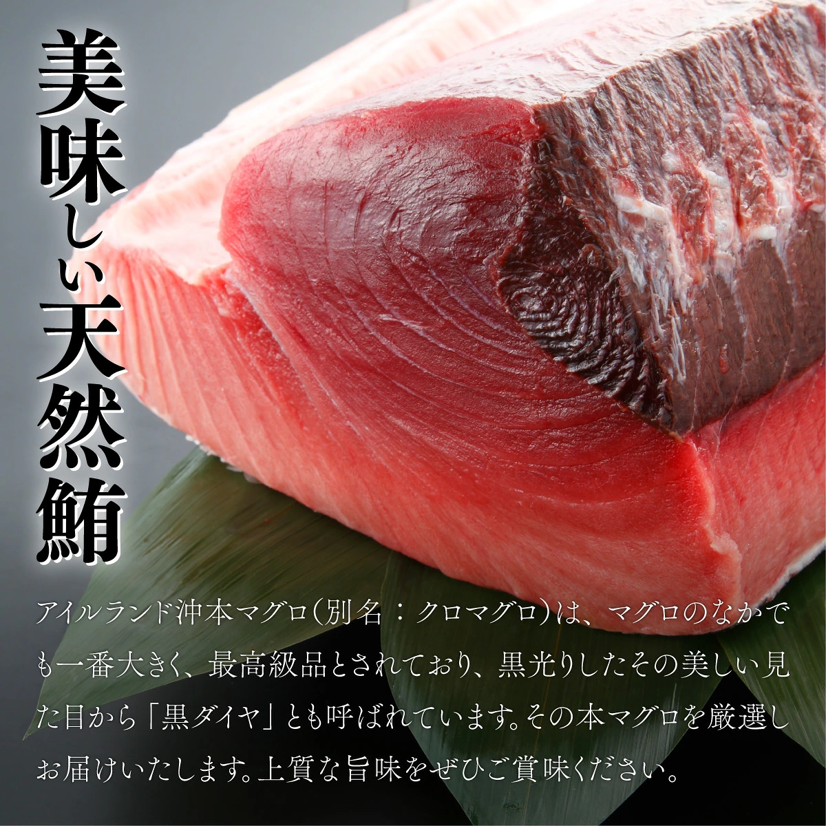 【3回定期便】天然本マグロ 中トロ 2柵 解凍書付 海鮮 魚介 鮪 惣菜 冷凍 クロマグロ まぐろ 頒布会