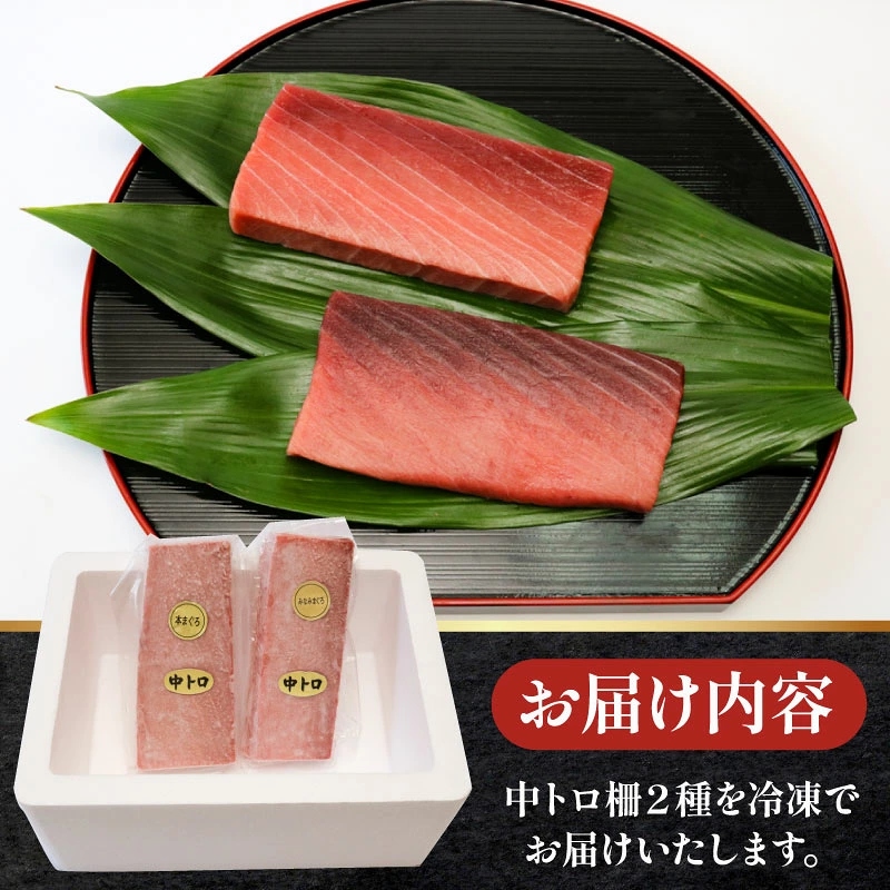 厳選天然本まぐろ中トロ2柵 と 厳選天然南まぐろ2柵 食べ比べ 合計800g まぐろ マグロ 鮪 本マグロ 本まぐろ 天然 高知県 室戸市