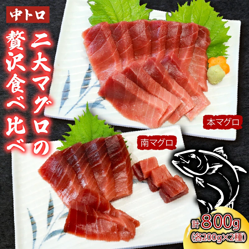 厳選天然本まぐろ中トロ2柵 と 厳選天然南まぐろ2柵 食べ比べ 合計800g まぐろ マグロ 鮪 本マグロ 本まぐろ 天然 高知県 室戸市