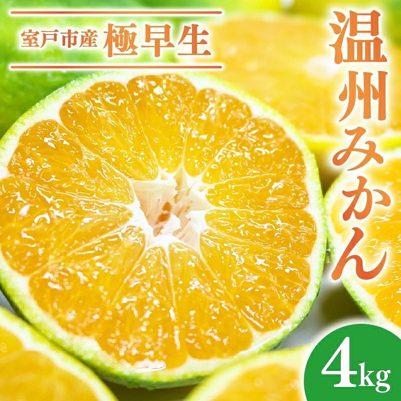 【先行予約】極早生 温州みかん 4kg 数量限定 高知県 室戸市産 みかん ミカン 柑橘 フルーツ 果物 産地直送 農家直送 おすすめ 人気 果実 うんしゅう ジュース ゼリー デザート