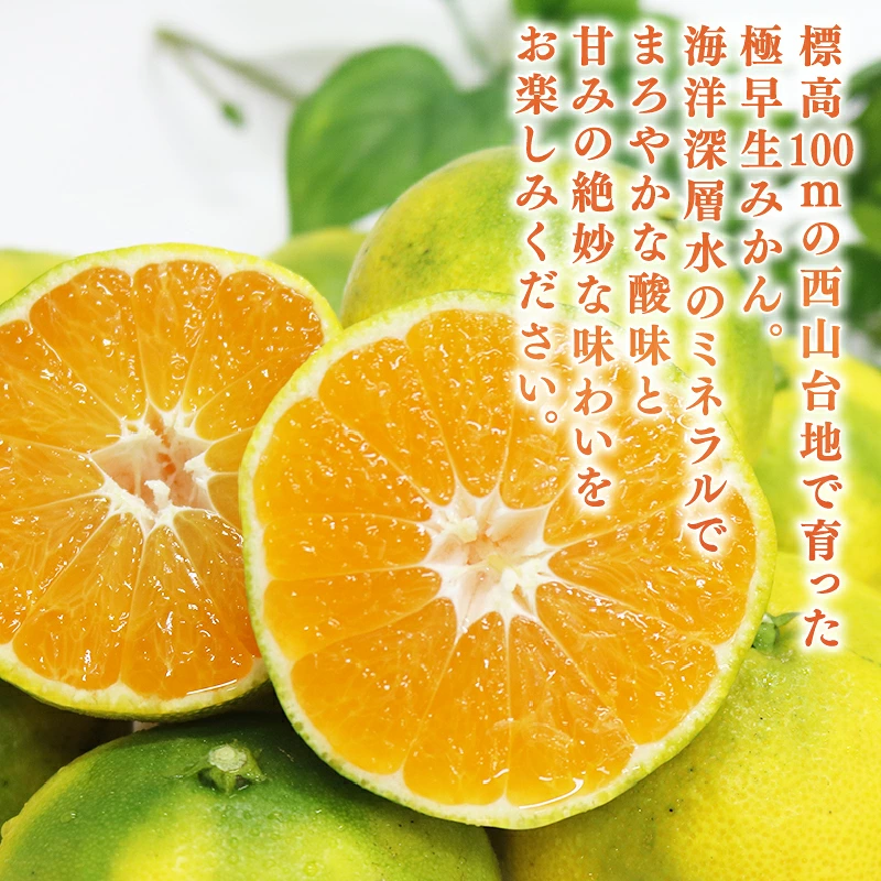 【先行予約】極早生 温州みかん 4kg 数量限定 高知県 室戸市産 みかん ミカン 柑橘 フルーツ 果物 産地直送 農家直送 おすすめ 人気 果実 うんしゅう ジュース ゼリー デザート