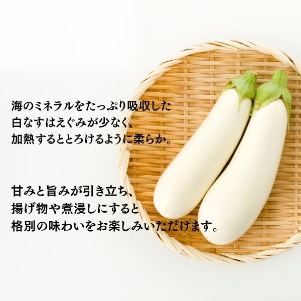 農家直送 白茄子 土佐の美味茄子の新鮮ナス 8本 2kg 野菜 なす ナス 常温 小袋 国産 夏野菜 茄子 小分け 旬 高知