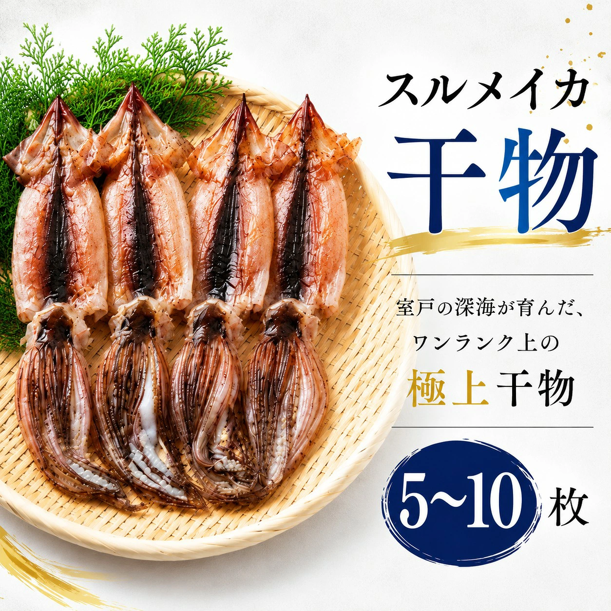 スルメイカ 干物 5枚 10枚（約500～1200g） 干物 するめいか 干しイカ いか イカ 半日干し 生干し 魚介類 海鮮 水産加工品 冷凍 真空パック 小分け 室戸海洋深層水 塩干し イカ焼き