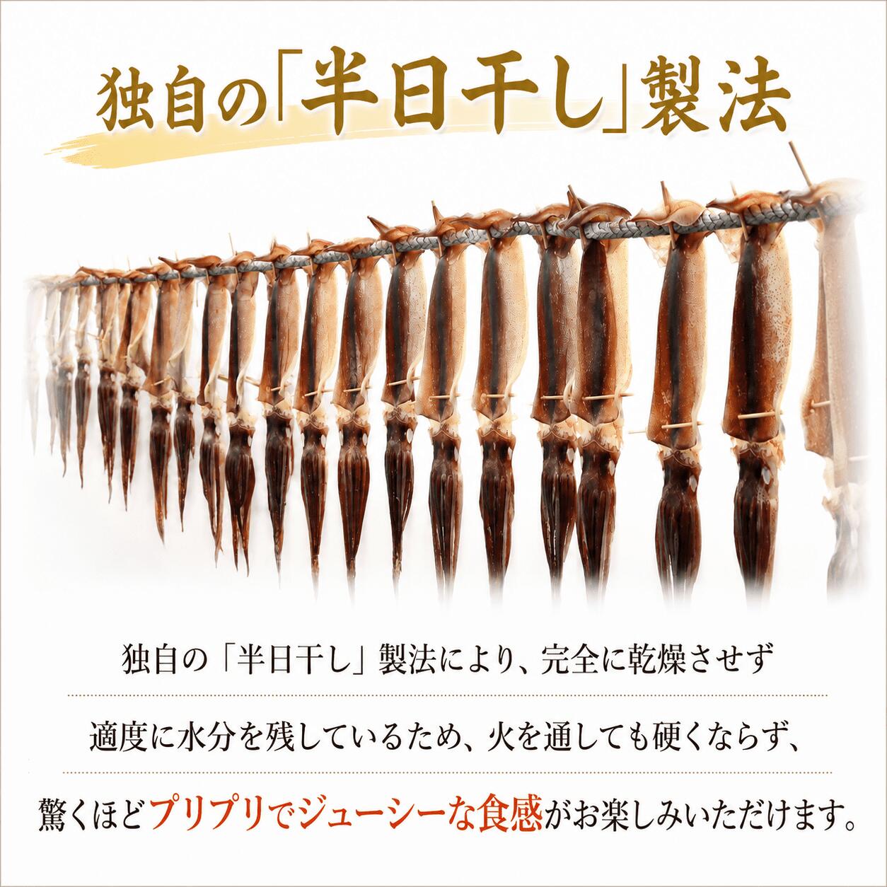 スルメイカ 干物 5枚 10枚（約500～1200g） 干物 するめいか 干しイカ いか イカ 半日干し 生干し 魚介類 海鮮 水産加工品 冷凍 真空パック 小分け 室戸海洋深層水 塩干し イカ焼き