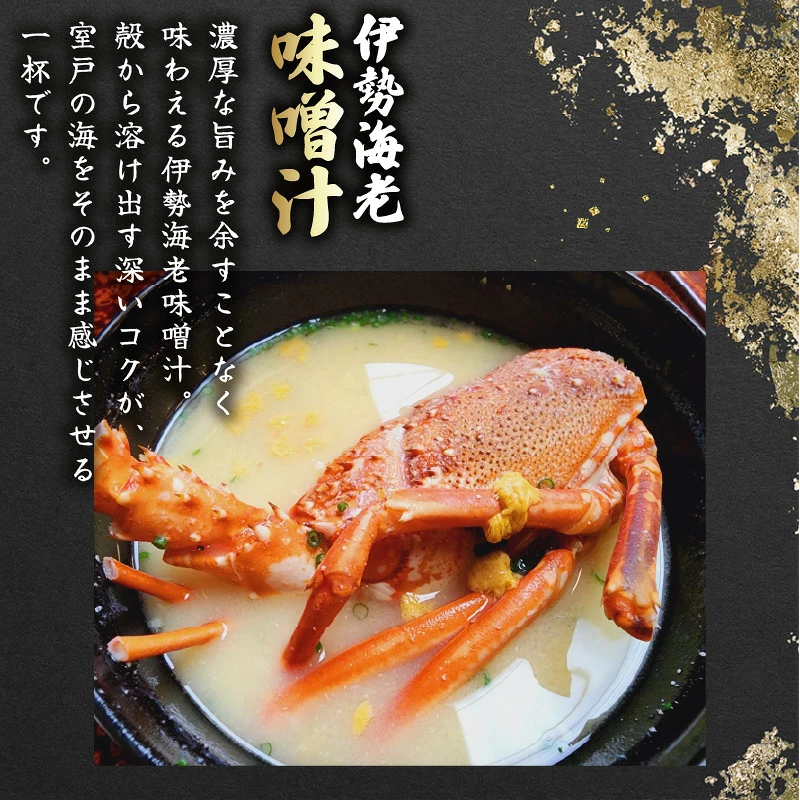 【 先行予約 】 活 伊勢海老 訳あり 500g(1～3匹) 冷蔵 活き伊勢海老 訳あり 室戸産 国産 エビ えび 海鮮 魚介 産地直送 プリプリ 味噌汁 刺身 焼き物 汁物 室戸海洋深層水 黒潮