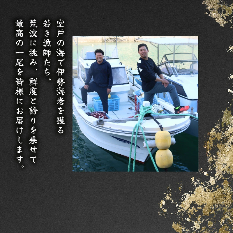 活 伊勢海老 訳あり 1.5kg(5匹+タビエビ) 冷蔵 活き伊勢海老 訳あり 室戸産 国産 エビ えび 海鮮 魚介 産地直送 プリプリ 味噌汁 刺身 焼き物 汁物 室戸海洋深層水 黒潮 高知県 室戸