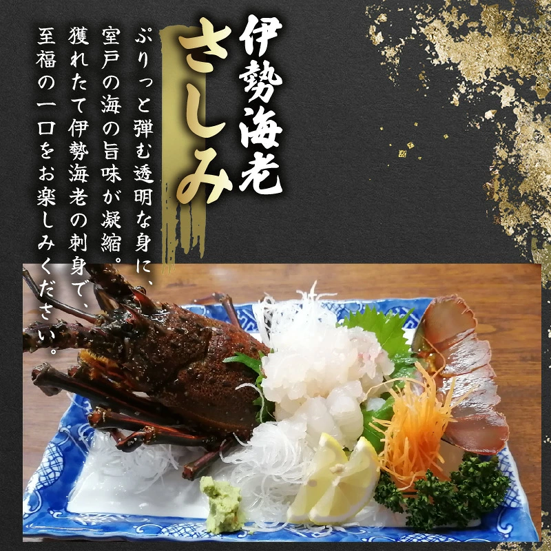 伊勢海老 2kg(5尾~7尾+タビエビ) 冷蔵 活き伊勢海老 室戸産 国産 エビ えび 海鮮 魚介 産地直送 プリプリ 味噌汁 刺身 焼き物 汁物 室戸海洋深層水 黒潮 高知県 室戸市