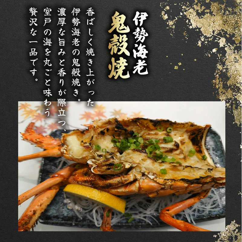伊勢海老 2kg(5尾~7尾+タビエビ) 冷蔵 活き伊勢海老 室戸産 国産 エビ えび 海鮮 魚介 産地直送 プリプリ 味噌汁 刺身 焼き物 汁物 室戸海洋深層水 黒潮 高知県 室戸市