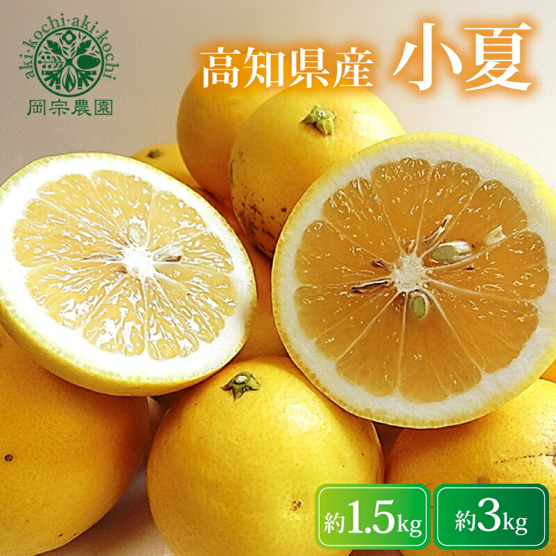 【令和9年産】 小夏 1.5kg 3kg フルーツ 果物 期間限定 旬 柑橘 贈答用 日向夏 デザート 甘酸っぱい 爽やか 初夏 家庭用 産地直送 メリーガーデン 訳あり 家庭用 安芸市 高知県