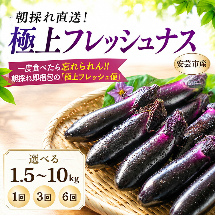 【先行受付】「優秀賞受賞なす」 約1.5～10kg 採れたて 新鮮 旬 野菜 やさい 茄子 先行予約 期間限定 季節 料理 ご飯 ごはん 高知県 朝採れ 極上 フレッシュ 農産物 品評会 優秀賞