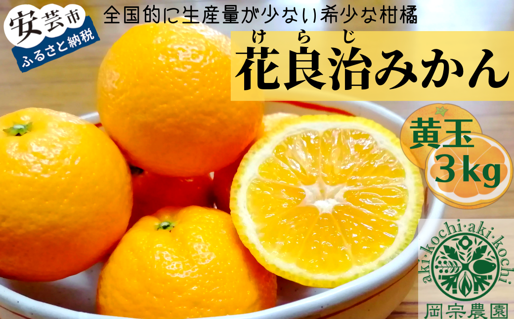 みかん 黄玉 3kg フルーツ 果物 季節限定 旬 柑橘 家庭用 自宅用 ギフト プレゼント 贈答 贈答用 花良治みかん けらじみかん オレンジ デザート スイーツ ゼリー ジャム ケーキ メリーガー