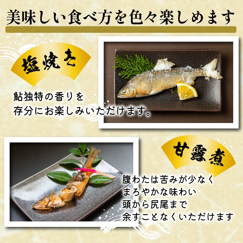 【先行受付】令和8年度産 鮎 約600g
