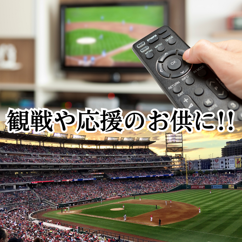鰹BAR for Sports タイガースパッケージ 3本（3種入りセット） カツオ スポーツ 筋トレ 防災 防災用 災害備蓄 保存食 栄養補給 サラダチキン プロテイン おやつ 常温 個包装 101