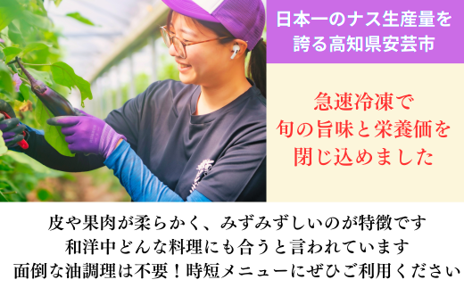 冷凍揚げナス 500g×6袋 冷凍食品 惣菜 野菜 時短 業務用 揚げ物 なす ナス 茄子 無添加 揚げ済み 調理済み 簡単調理 レンジ調理 煮浸し 和え物 麻婆茄子 アレンジ料理 高知県産 国産