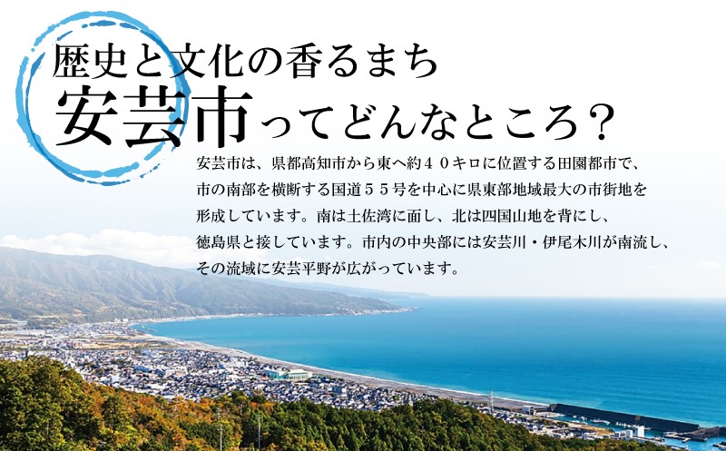 これが高知の「甘だれ干し」 70g×4パック シイラ みりん干し 干物 おつまみ 酒の肴 おかず 魚介 惣菜 高知県産 珍味 ご飯のお供 レンジ調理 グリル焼き 小分け 便利 鮮度抜群 熟成 しらす