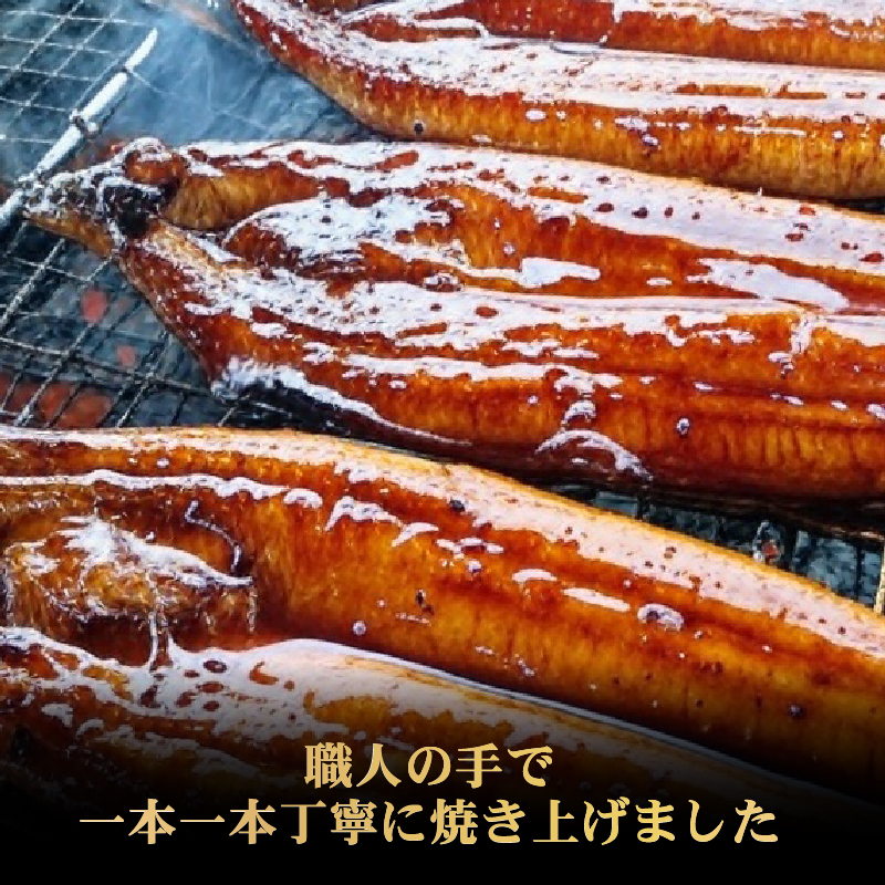 厳選 高知県産うなぎ 2尾 蒲焼き うなぎ蒲焼 国産うなぎ 高級うなぎ 土用丑の日 ウナギ料理 特製タレ 解凍 電子レンジ 簡単調理 ふっくら柔らか 香ばしい うな重 うな丼 夏バテ対策 スタミナ食