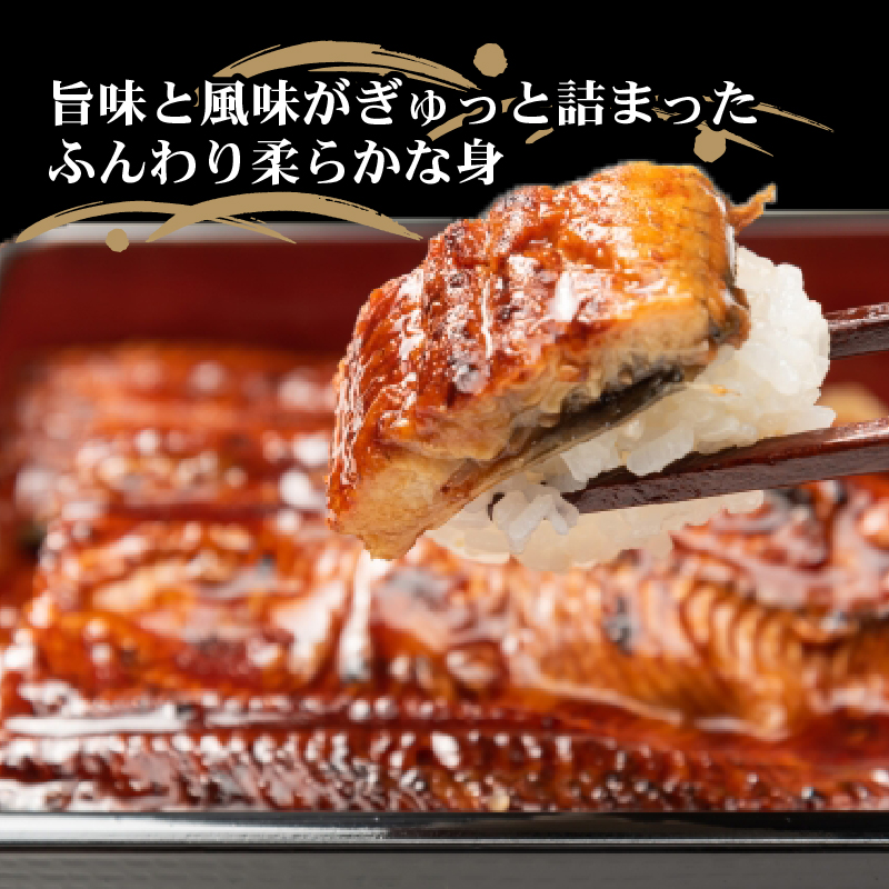厳選 高知県産うなぎ 2尾 蒲焼き うなぎ蒲焼 国産うなぎ 高級うなぎ 土用丑の日 ウナギ料理 特製タレ 解凍 電子レンジ 簡単調理 ふっくら柔らか 香ばしい うな重 うな丼 夏バテ対策 スタミナ食
