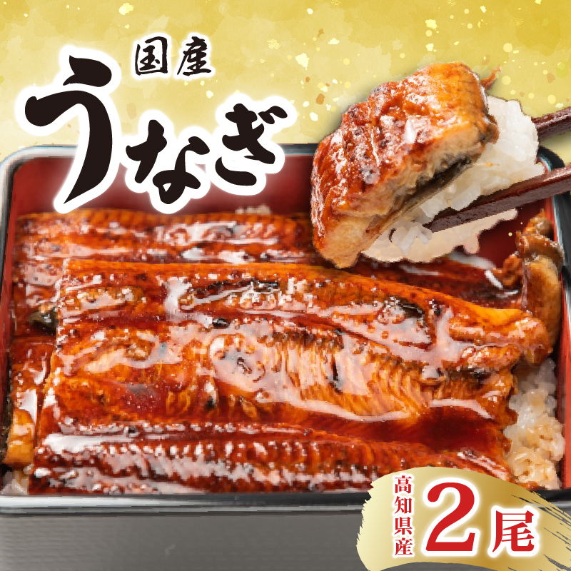厳選 高知県産うなぎ 2尾 蒲焼き うなぎ蒲焼 国産うなぎ 高級うなぎ 土用丑の日 ウナギ料理 特製タレ 解凍 電子レンジ 簡単調理 ふっくら柔らか 香ばしい うな重 うな丼 夏バテ対策 スタミナ食
