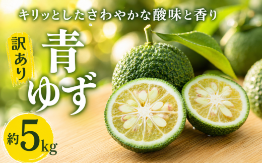 青ゆず 訳あり規格外品 約5kg