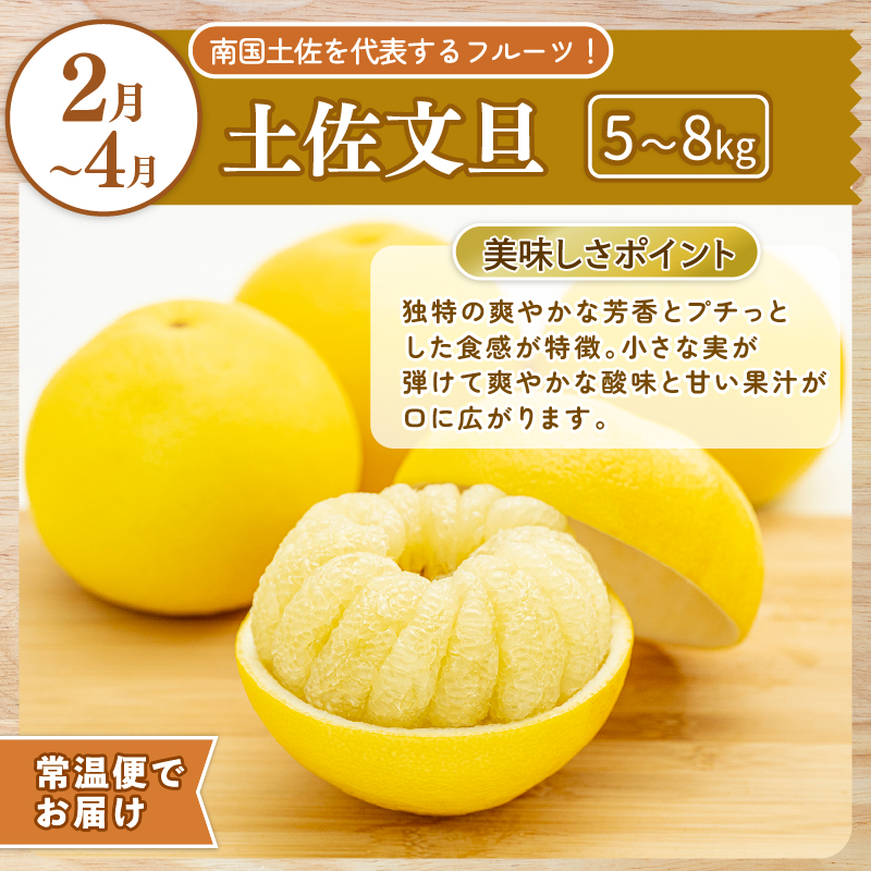 【 年4回 旬のフルーツ定期便 】旬の果物を4回お届け / ライチ 土佐文旦 マンゴー 小夏