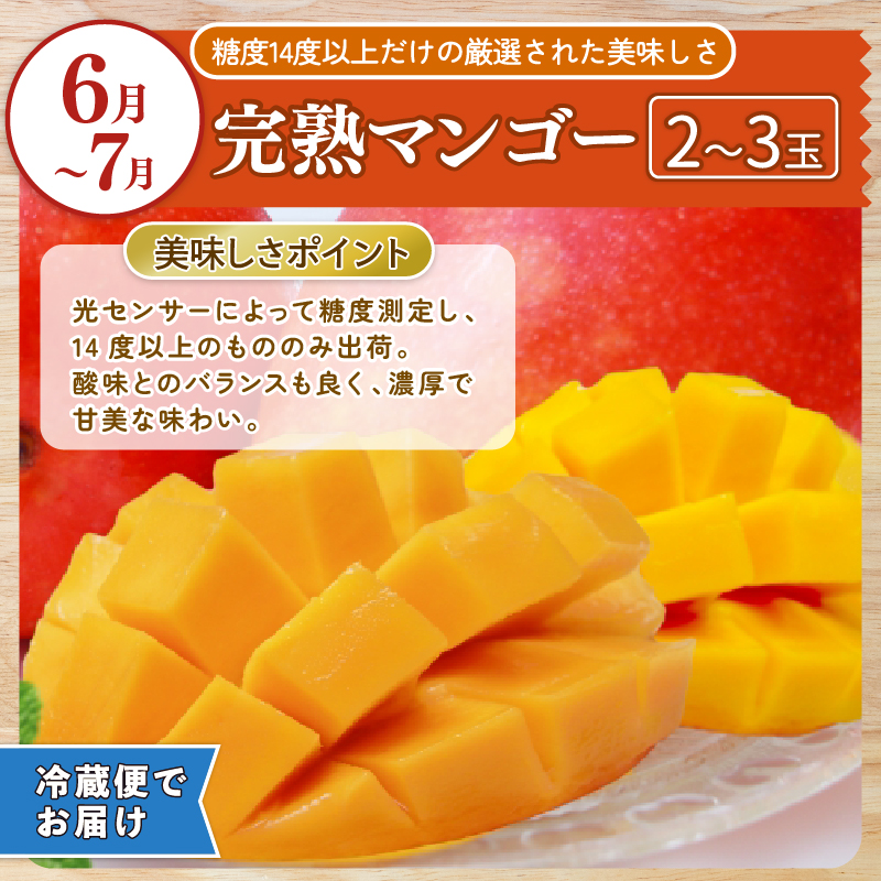 【 5回 定期便 】フルーツ定期便 A