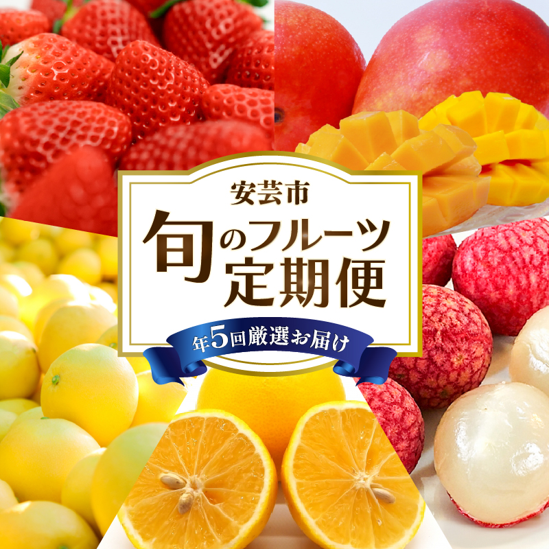 【 5回 定期便 】フルーツ定期便 A