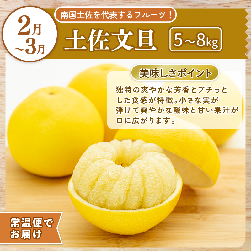 【 5回 定期便 】フルーツ定期便 A