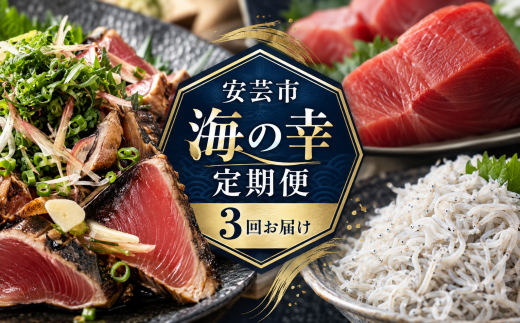 【 3回 定期便 】海鮮定期便 かつおのたたき しらす マグロ 定期便