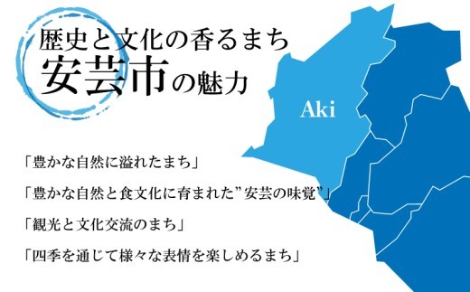【 3回 定期便 】海鮮定期便 かつおのたたき しらす マグロ 定期便