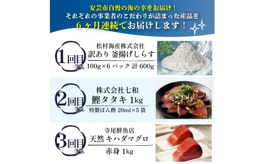 【 6回 定期便 】海鮮定期便 かつおのたたき しらす マグロ 定期便 高知 本場 カツオ人気 かつおのタタキ 冷凍 カツオのタタキ 鰹