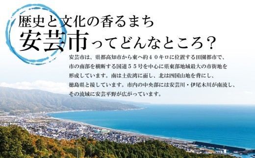 【 6回 定期便 】海鮮定期便 かつおのたたき しらす マグロ 定期便 高知 本場 カツオ人気 かつおのタタキ 冷凍 カツオのタタキ 鰹