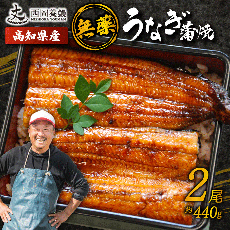 選べる！国産うなぎ 蒲焼 2尾 ~ 5尾 約440g ~ 約1.1kg 高知県産  自家製タレ ・山椒つき