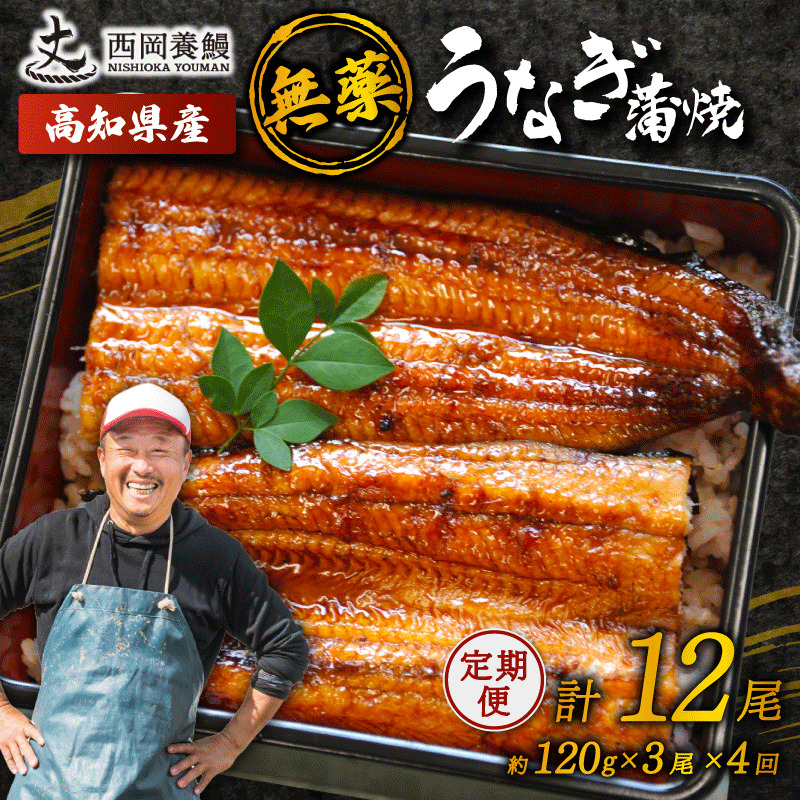 うなぎの蒲焼 定期便 計12尾
