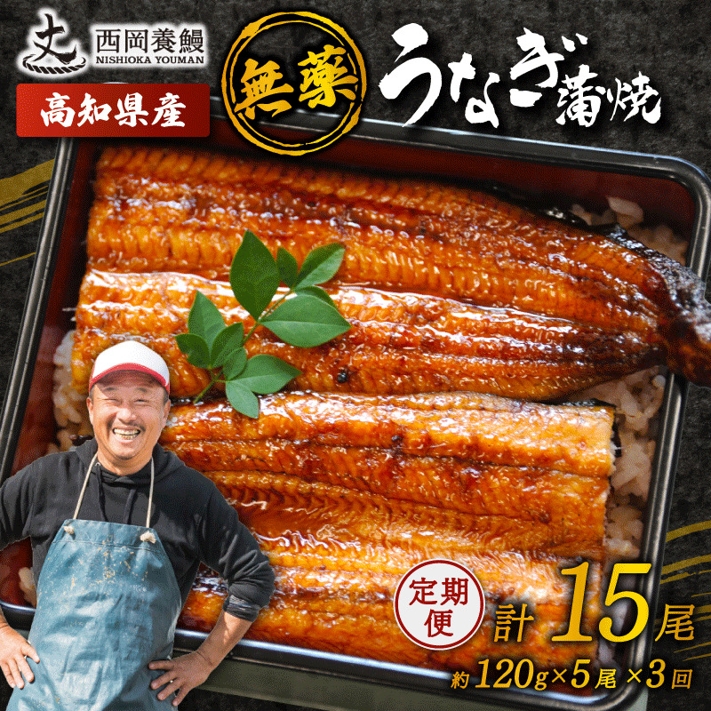 うなぎの蒲焼 定期便 計15尾