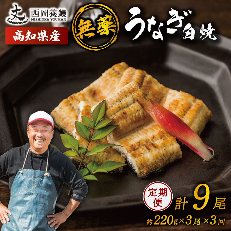 うなぎの蒲焼 定期便 計9尾