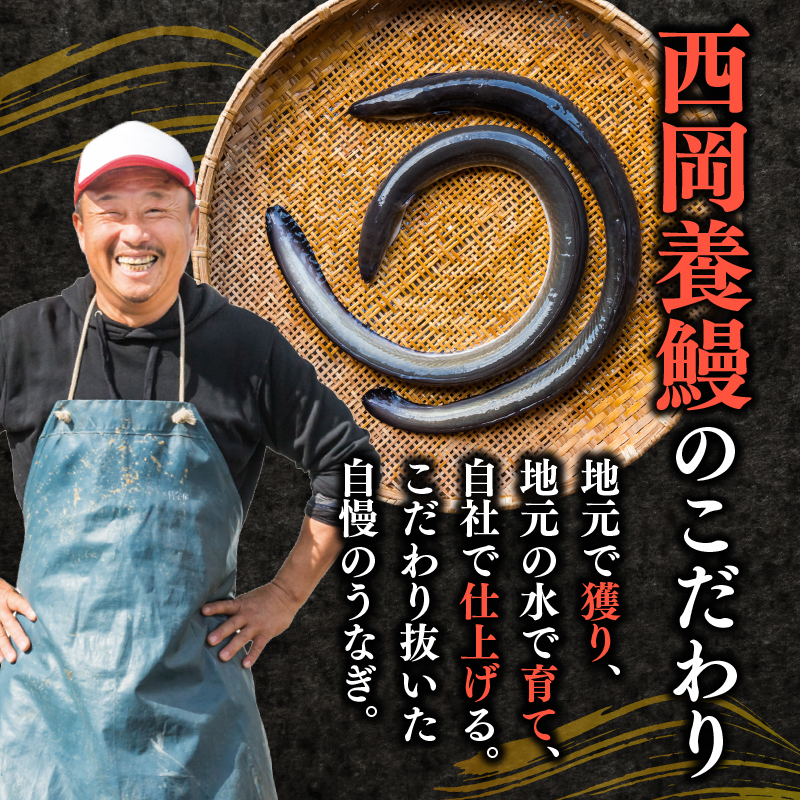 完全無投薬 うなぎ蒲焼 定期便 計10尾 ( 220g × 2尾 × 5回 )