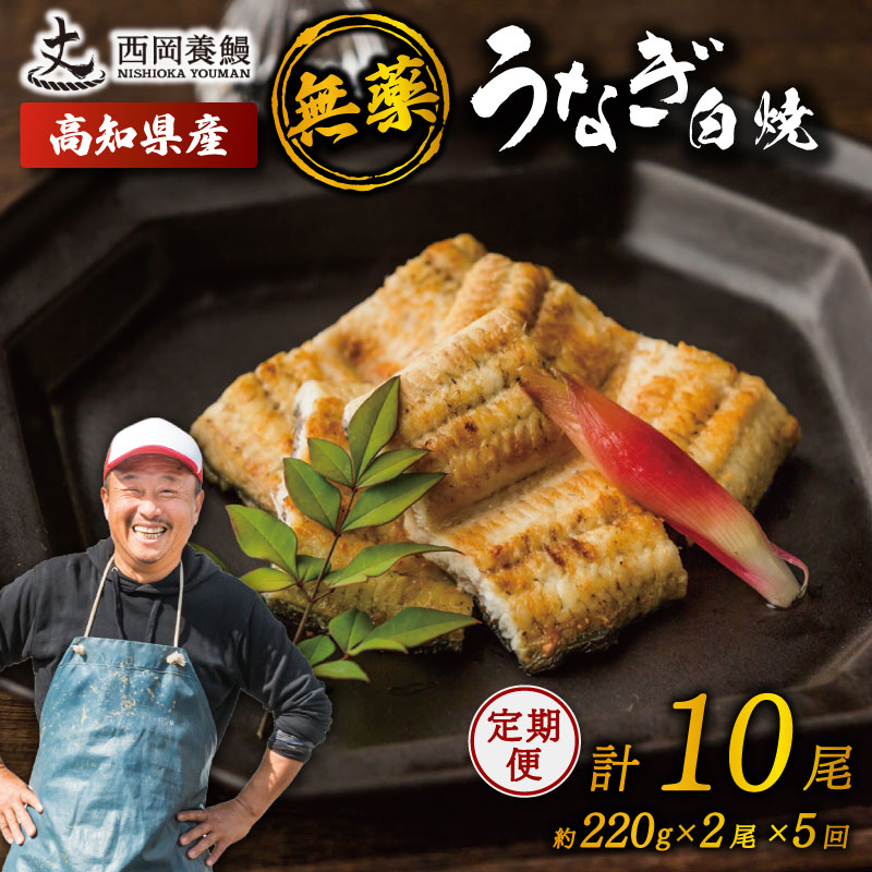 完全無投薬 うなぎ蒲焼 定期便 計10尾 ( 220g × 2尾 × 5回 )