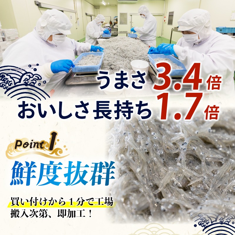【特選】釜揚げしらす 約480g ( 約60g × 8パック )
