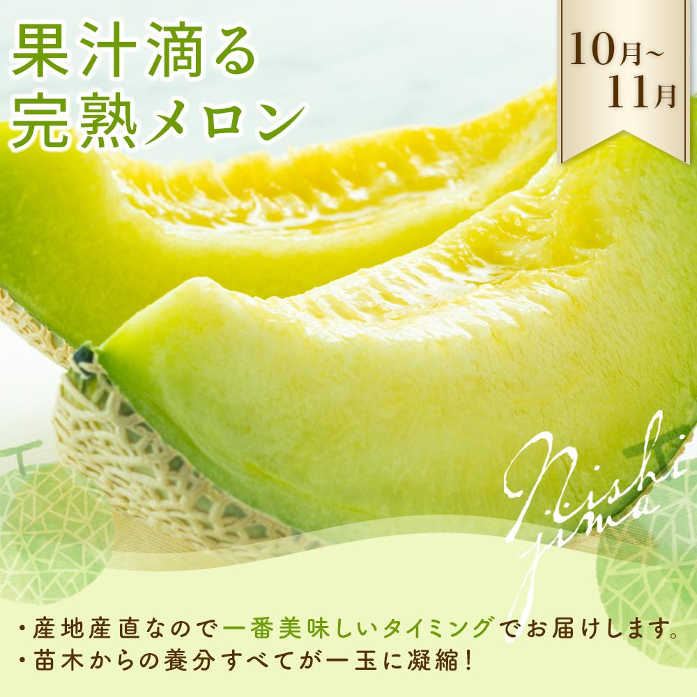 旬のフルーツ定期便 メロン スイカ マンゴー イチゴ 選べる回数 3回 4回 5回 ふるさと納税フルーツ 苺 果物 くだもの 人気 おすすめ 産地直送 人気 高評価 果物定期便 産地直送 西島園芸団地 高知県 南国市