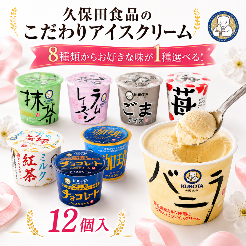 1種選べる 久保田食品 アイスクリーム 110ml(100ml)✕12個 バニラ 抹茶 ラムレーズン ごま いちご ミルク紅茶 チョコレート コーヒー デザート カップ 詰め合わせ セット 大容量 高知県 南国市 KB020-KB030
