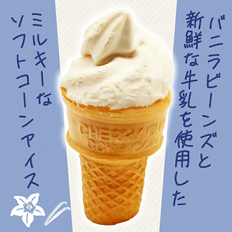 バニラソフト 110ml×20個 アイスクリーム コーン ビーンズ 人気 有名 セット 詰め合わせ スイーツ ジェラート 久保田食品 高知県 南国市 KB015