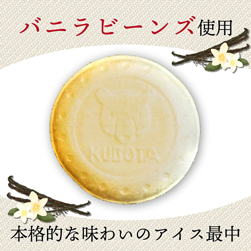 夢中熱中バニラ最中 110ml×20個 アイスクリーム もなか 人気 大容量 有名 セット 詰め合わせ スイーツ ジェラート 久保田食品 高知県 南国市 KB017
