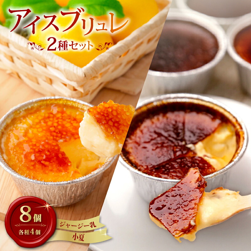 アイスブリュレセットC 8個（ジャージー乳、小夏 各4個） クリーム キャラメル プリン おやつ お菓子 スイーツ スウィーツ 贈答 贈り物 ギフト 人気 おすすめ 高知県 南国市 ST004