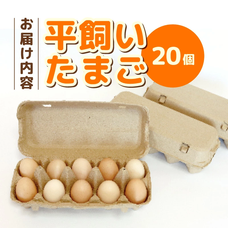平飼い卵 20個入り (10個×2パック) たまご 鶏卵 たまごかけごはん オムレツ たまご焼き おいしい 人気 おすすめ 高知県 南国市 TO001