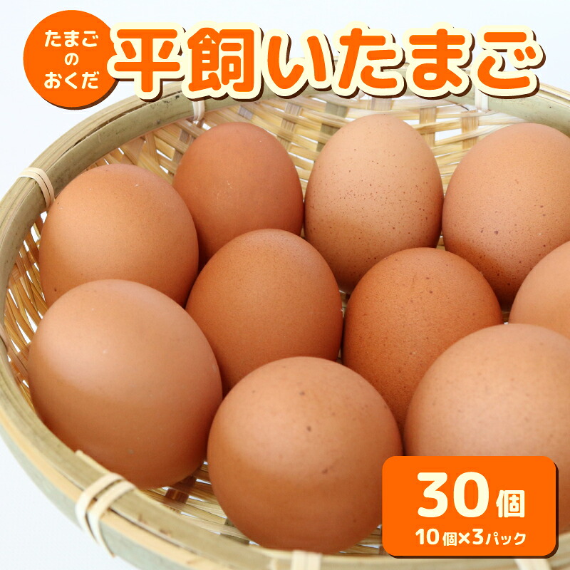 平飼い卵 30個入り (10個×3パック) たまごのおくだ 新鮮 平飼い たまご 鶏卵 卵黄 エッグ たまごかけご飯 玉子 すき焼き 産地直送 国産 TO002