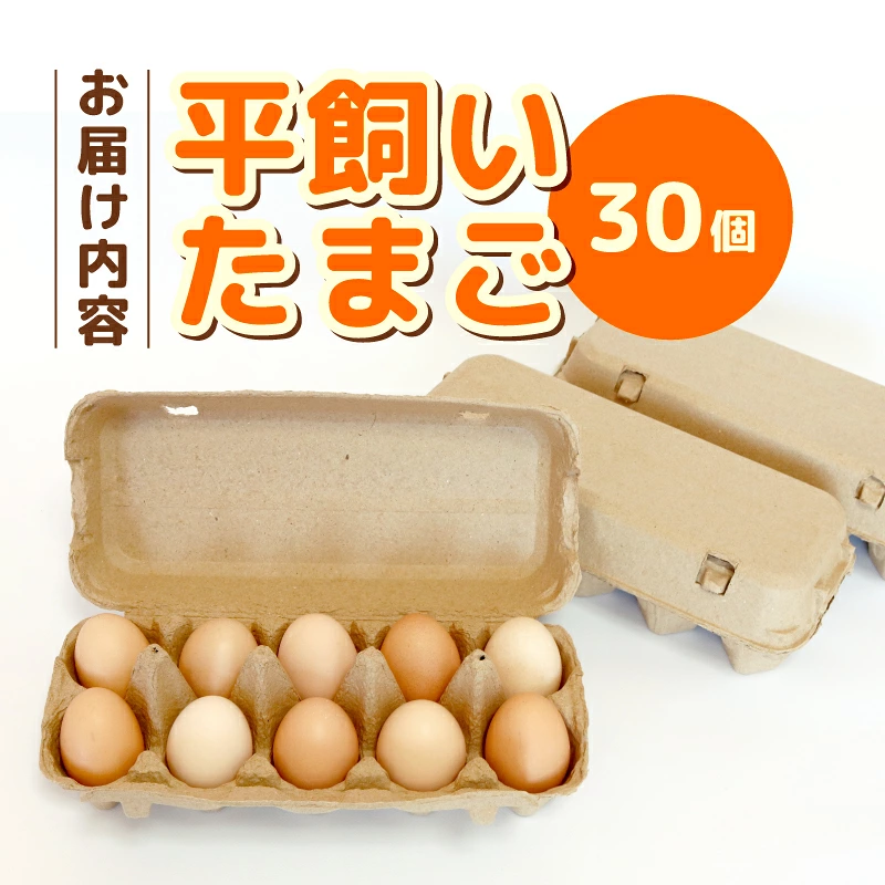 平飼い卵 30個入り (10個×3パック) たまごのおくだ 新鮮 平飼い たまご 鶏卵 卵黄 エッグ たまごかけご飯 玉子 すき焼き 産地直送 国産 TO002