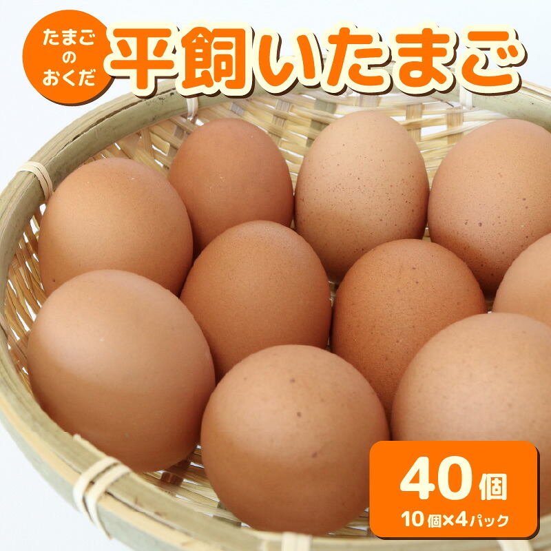 平飼い卵 40個入り (10個×4パック) たまご 鶏卵 たまごかけごはん TKG オムレツ 卵かけご飯 たまご焼き おいしい おすすめ  高知県 南国市 TO003