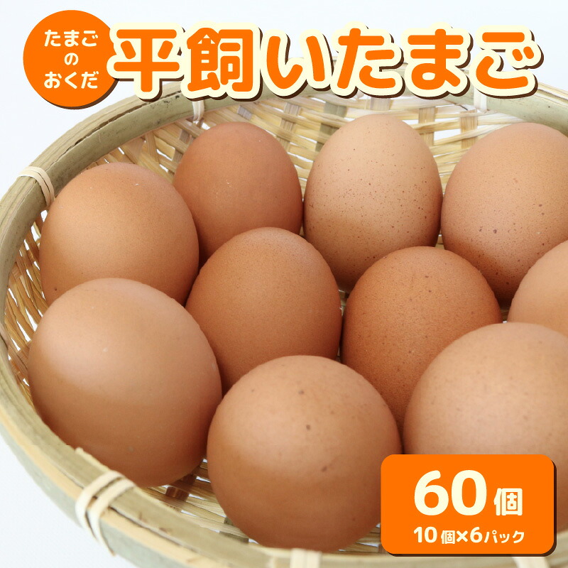 平飼い卵 60個入り (10個×6パック) たまご 鶏卵 たまごかけごはん オムレツ たまご焼き おいしい おすすめ 高知県 南国市 TO005