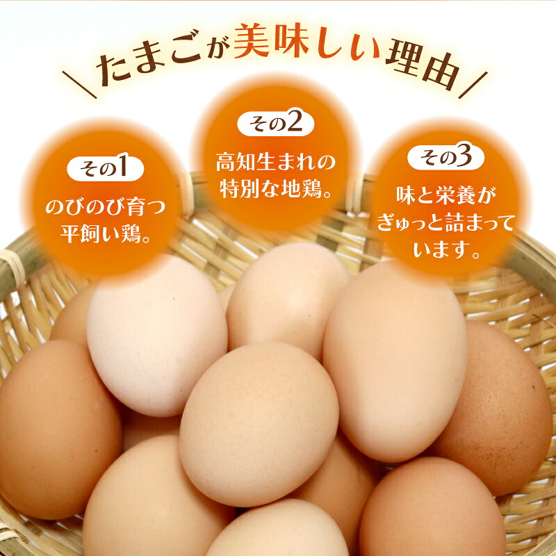土佐ジローの卵 20個入り (10個×2パック) たまご 鶏卵 たまごかけごはん TKG オムレツ ケーキ たまご焼き おいしい おすすめ  高知県 南国市 TO006
