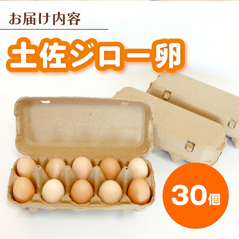 土佐ジローの卵 30個入り (10個×3パック) たまご 鶏卵 たまごかけごはん TKG オムレツ たまご焼き おいしい 人気 おすすめ  高知県 南国市 TO007